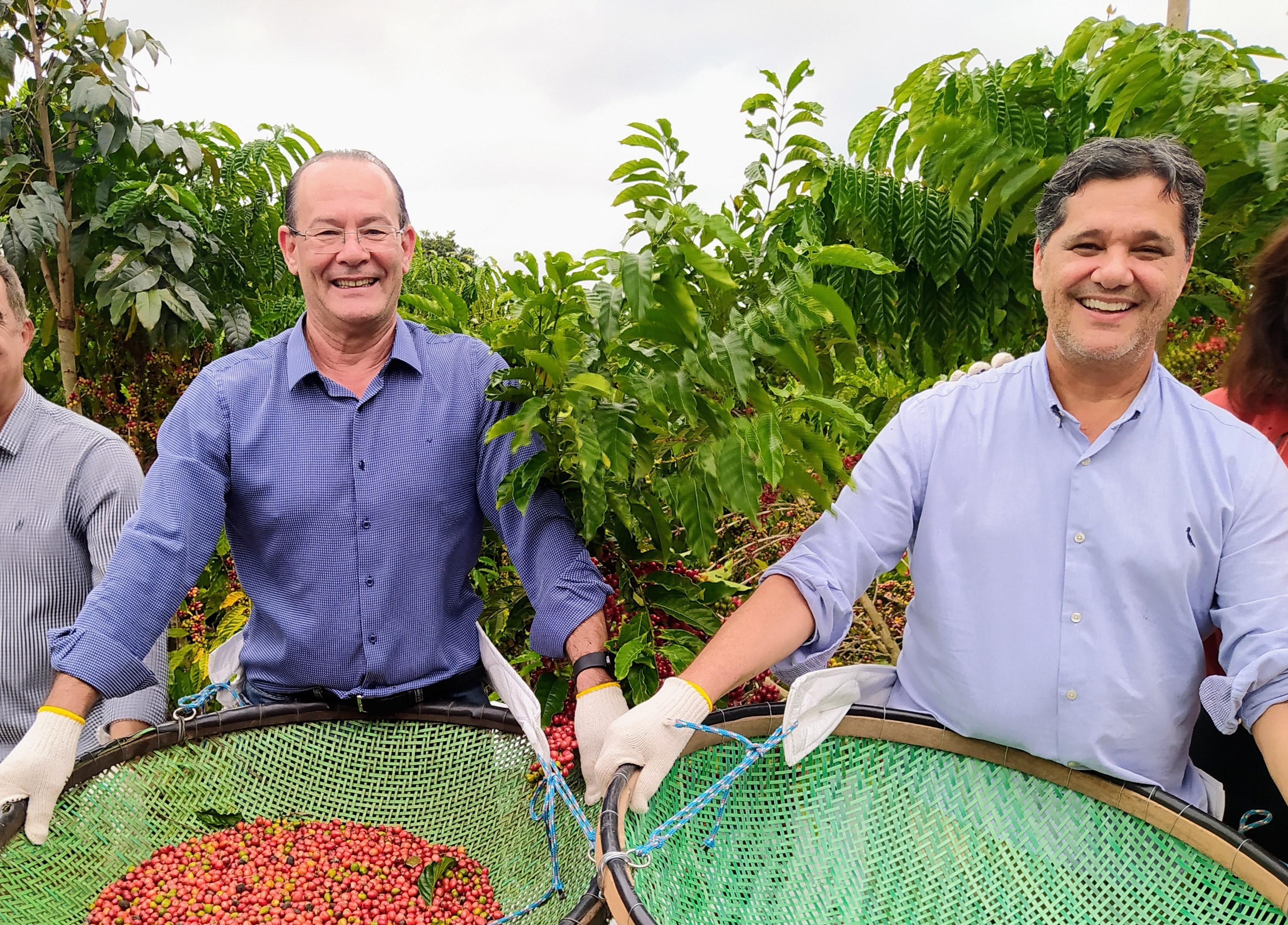 SEAG - Cadeia produtiva do café conilon será tema de oficina do Pedeag