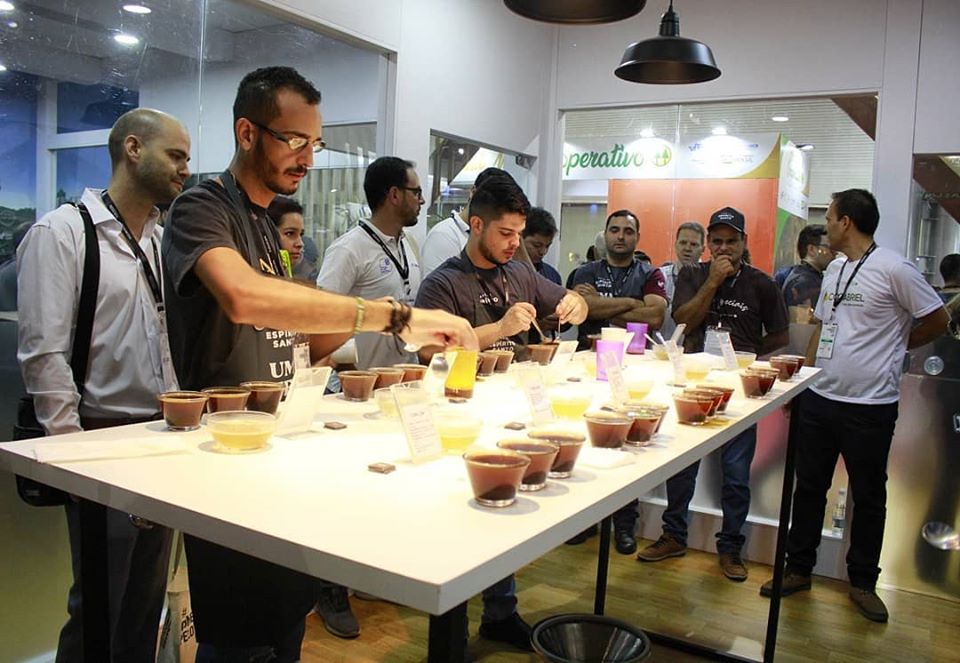 Café conillon de Muqui ganha prêmio nacional em Minas Gerais