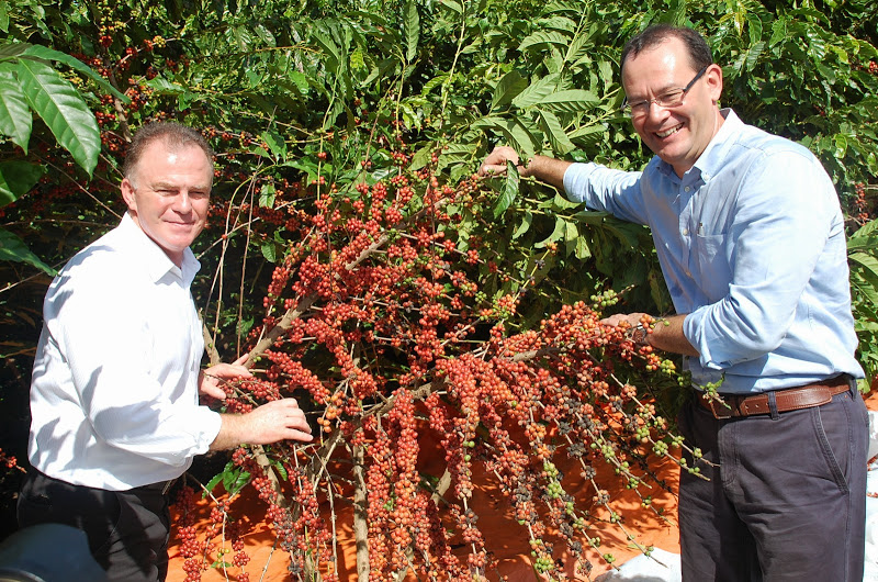 SEAG - Cadeia produtiva do café conilon será tema de oficina do Pedeag