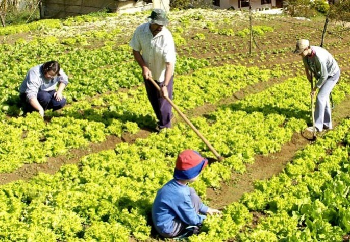 FEMAF - INSCRIÇÕES  Secretaria de Estado da Agricultura Familiar