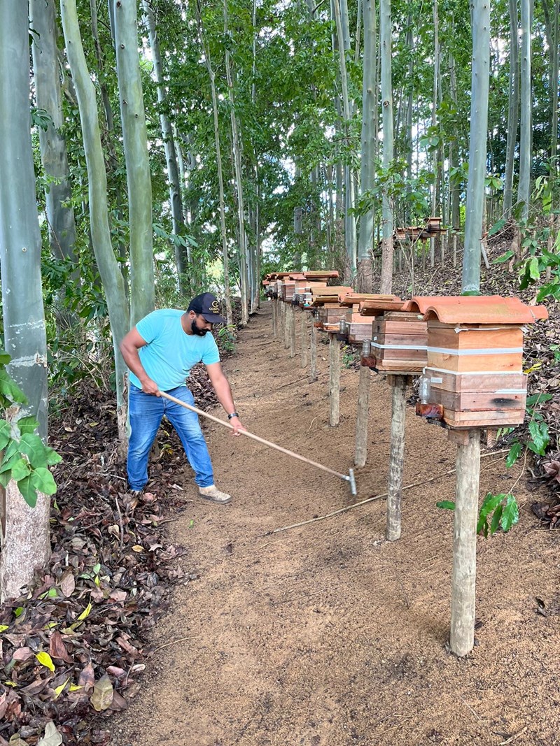 SEAG - Produção de mel no Espírito Santo cresce 13,46%