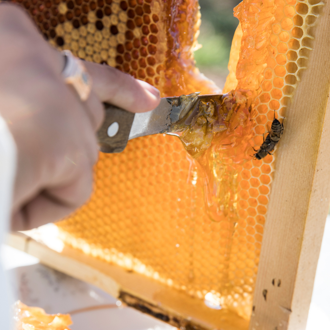 Template Matérias (10)