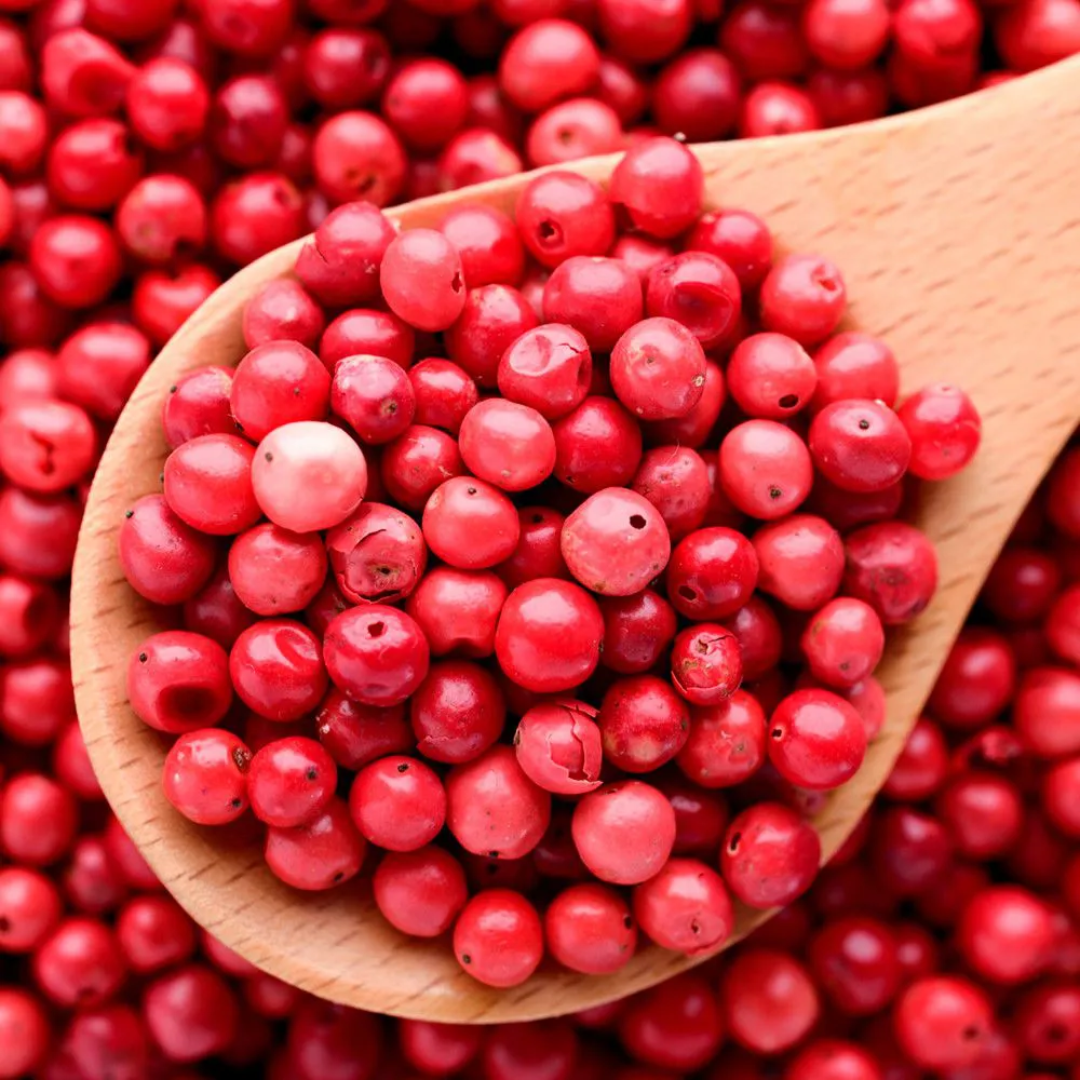 Template Matérias (15)