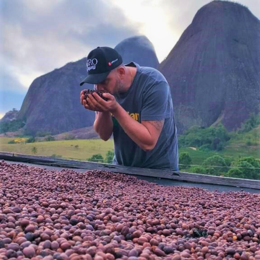 Template Matérias (18)