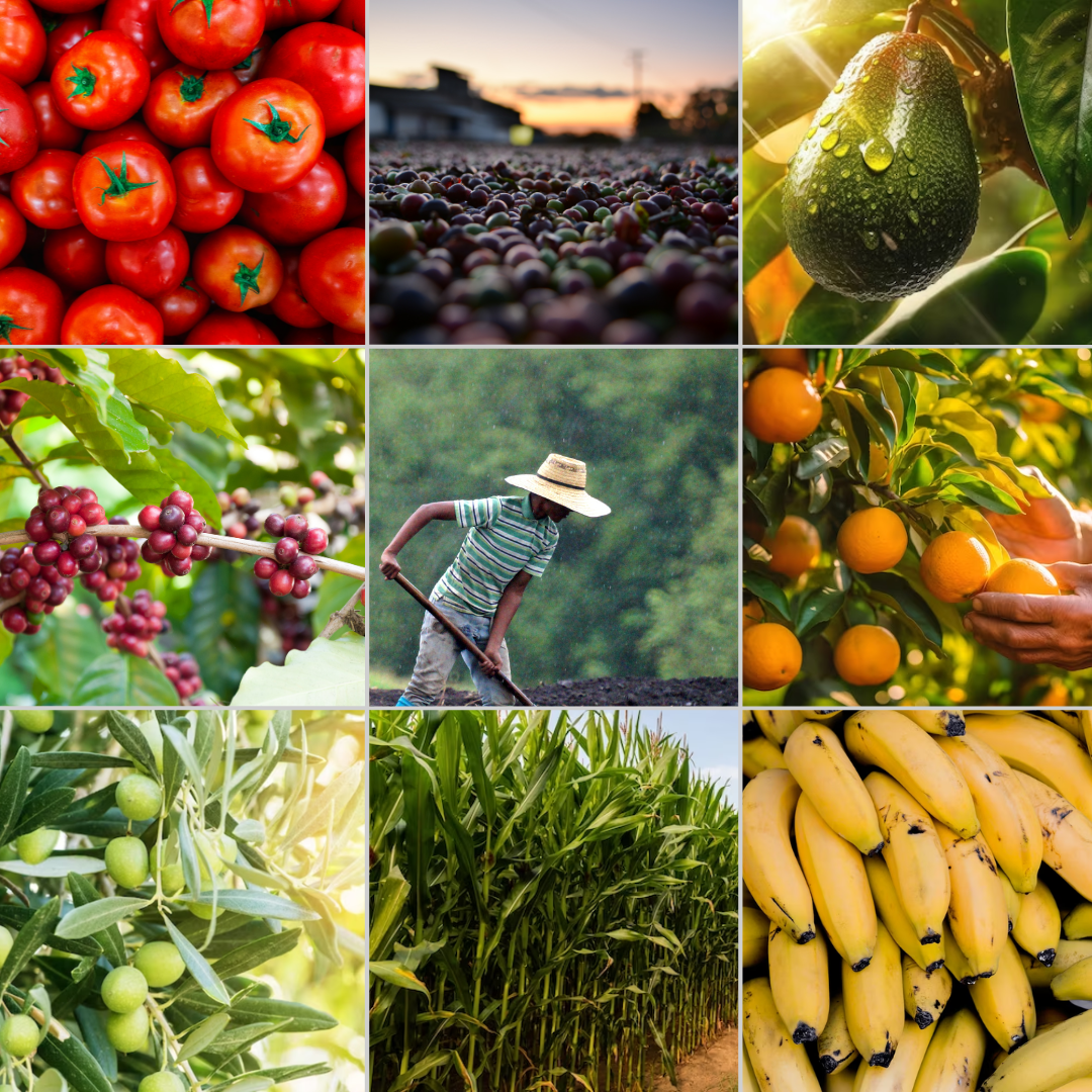 Template Matérias (40)