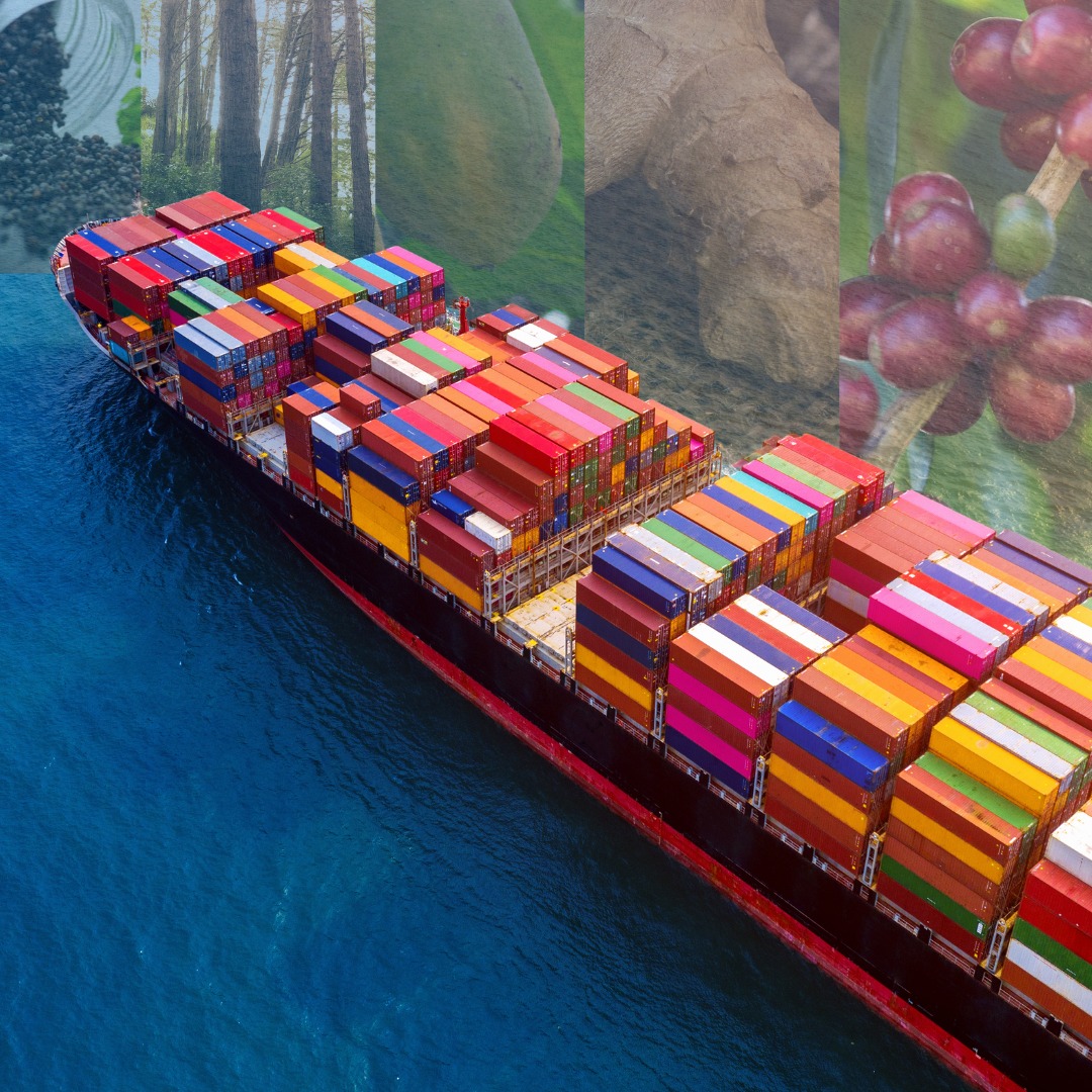 WhatsApp Image 2023-07-27 at 16.07.15