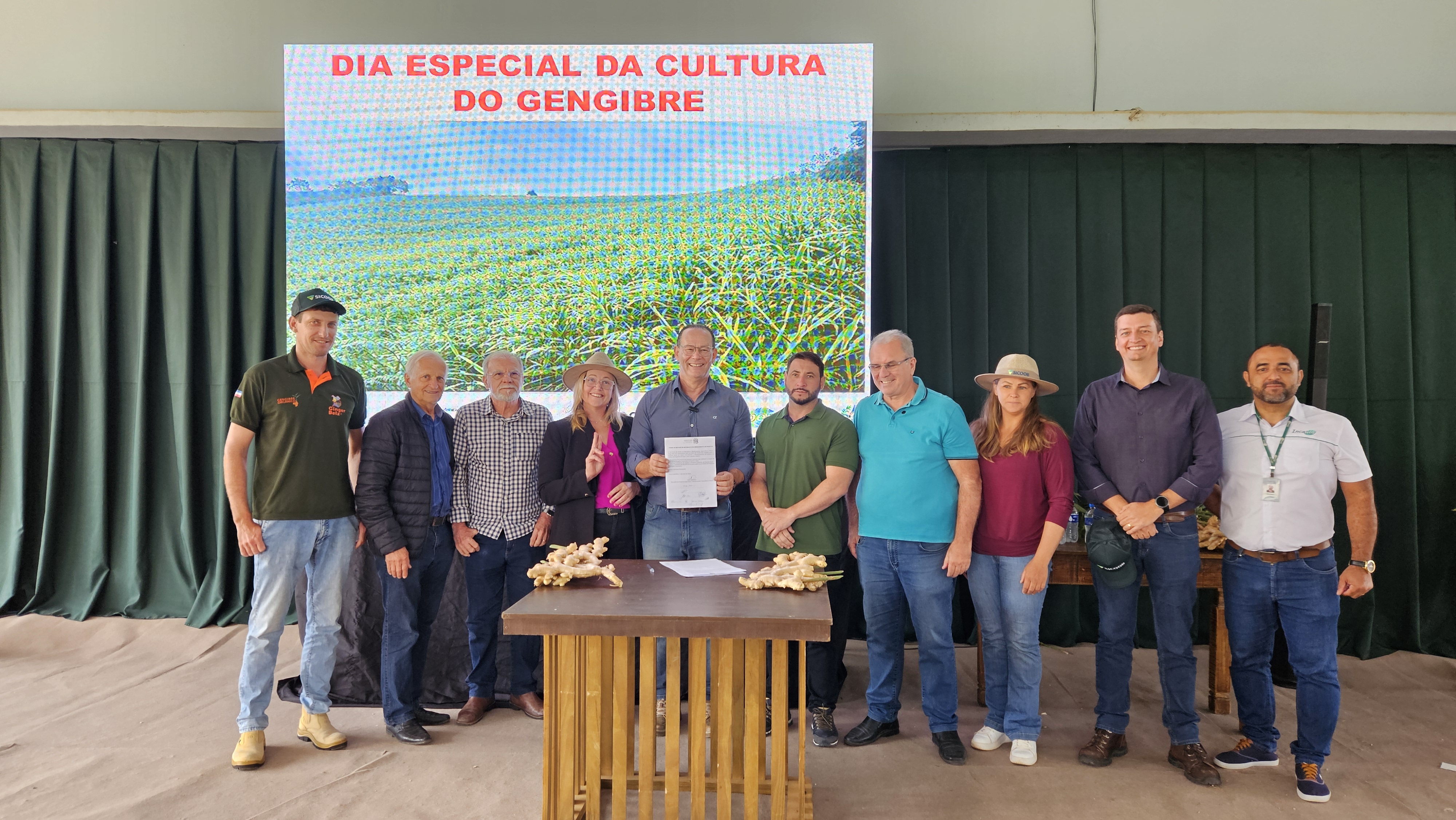Espírito Santo abre safra 2026 do gengibre com anúncio de R$ 1,2 milhão em pesquisa e inovação|||Fotógrafo:Felipe Ribeiro/Incaper