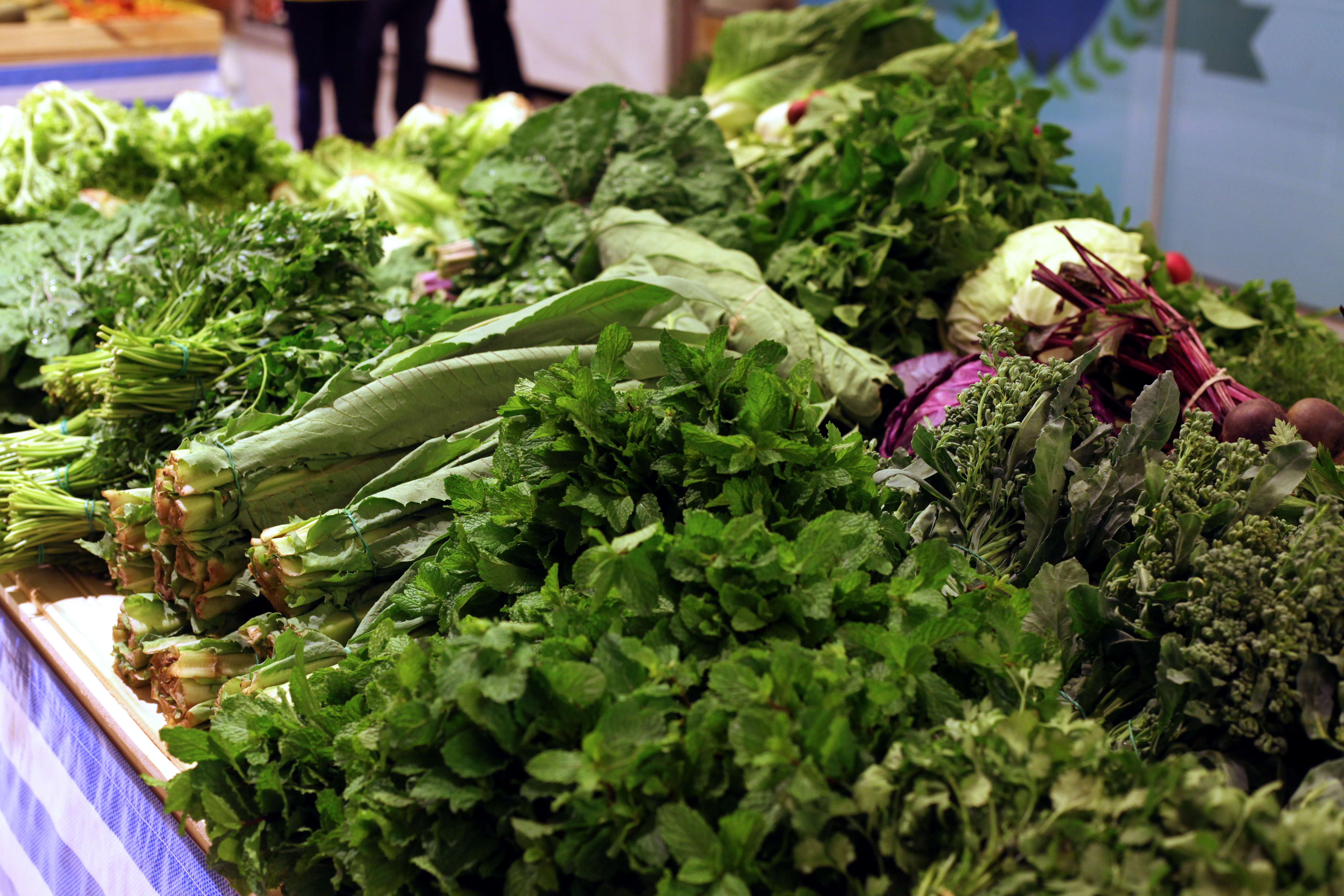 Feira Agroecológica_Shopping Boulevard (34)
