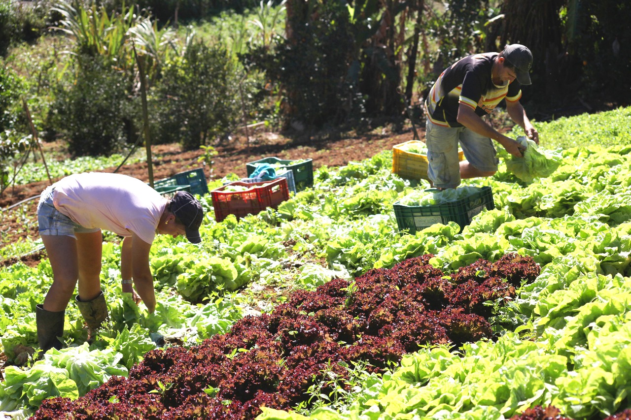 Agricultura Familiar