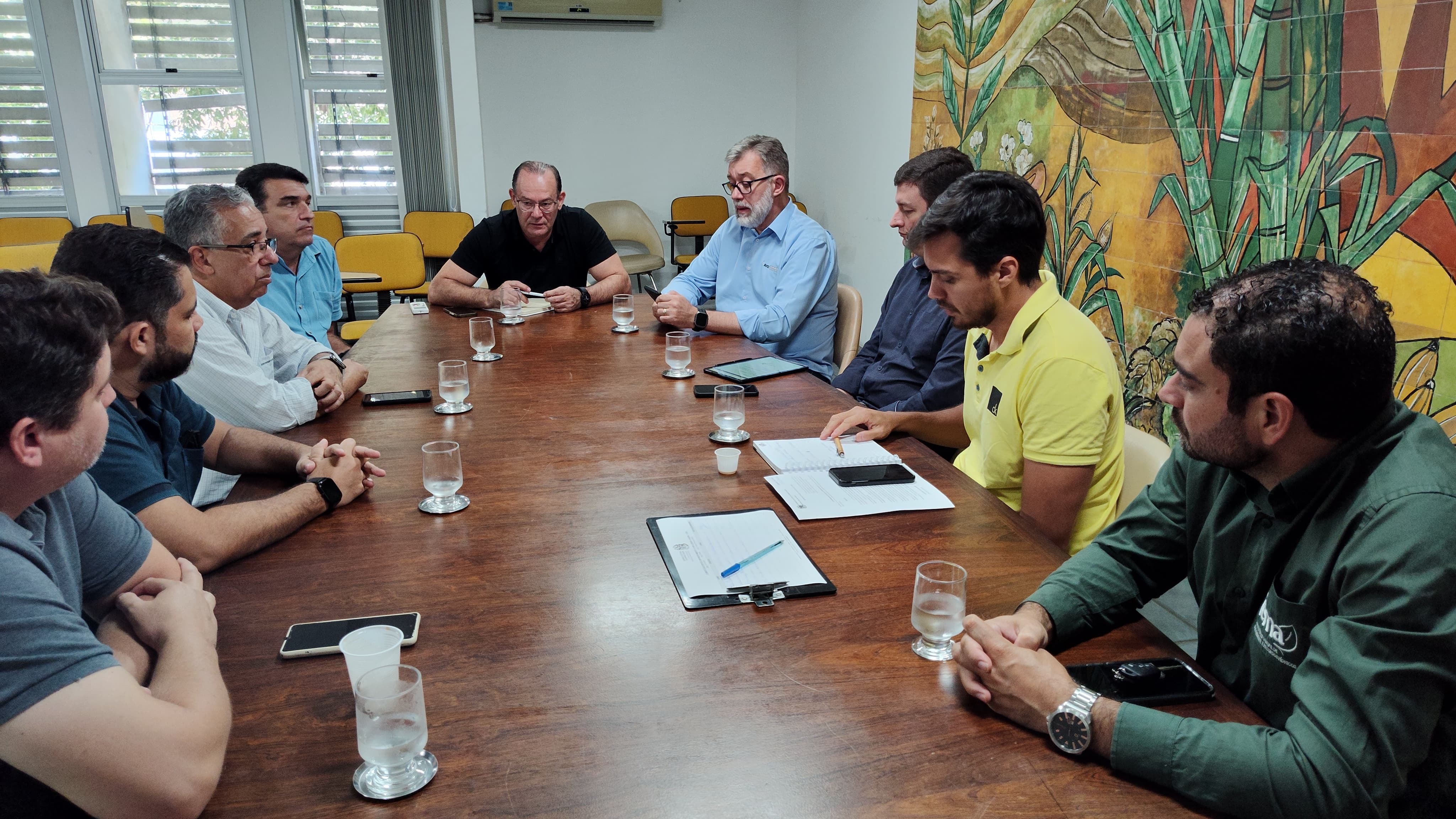 comite-gestor-enfrentamento-influenza-aviaria-decreto-emergencia-zoossanitaria-novembro-2024-02