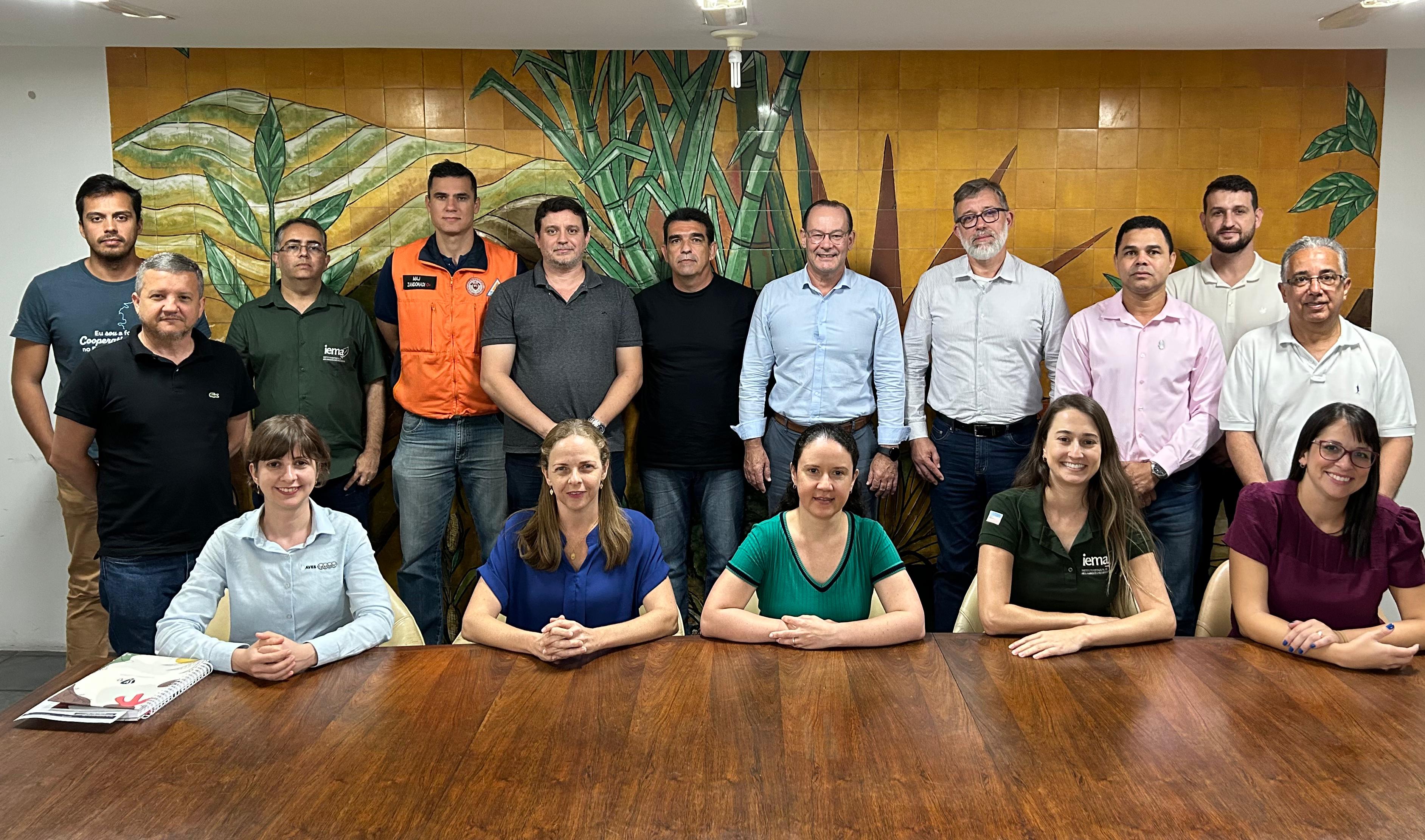 Comitê gestor da influenza aviária delibera pela prorrogação do Estado de Emergência no Espírito Santo