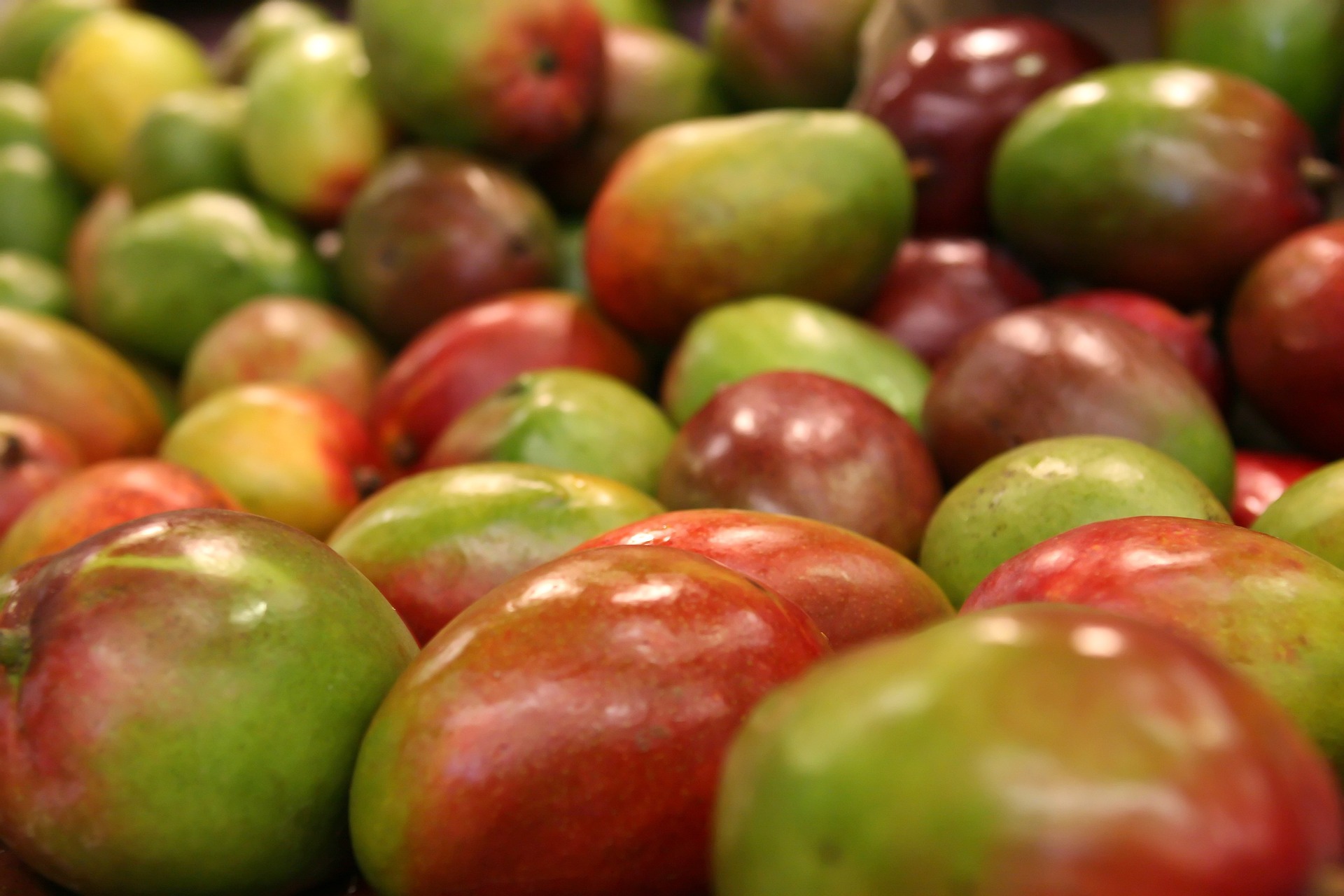 mango-1239347_1920