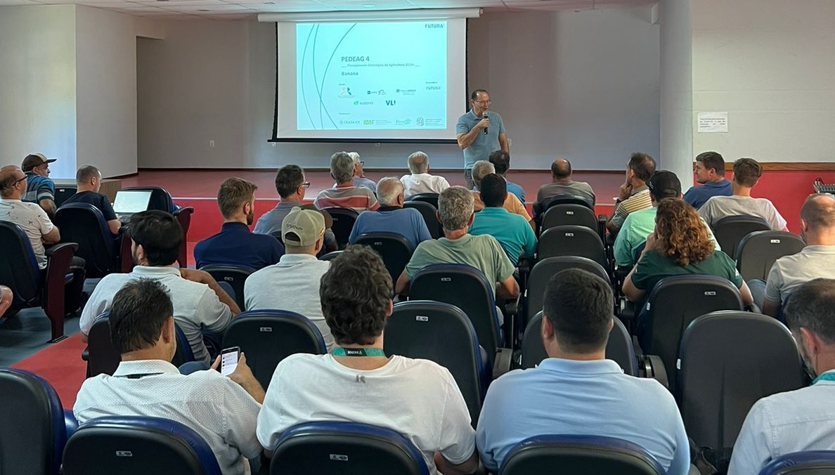 3818f619-46da-4f4d-b2b1-cd84f73e3c94 - Copia