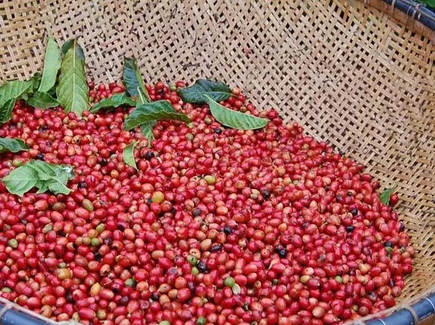 5dff6cae-55a6-487e-92dd-377b6c6ed038