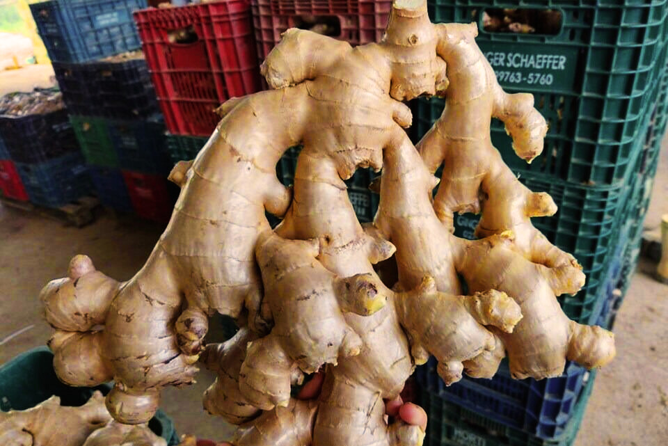 6318362b-541c-4735-b7f8-70123885feed