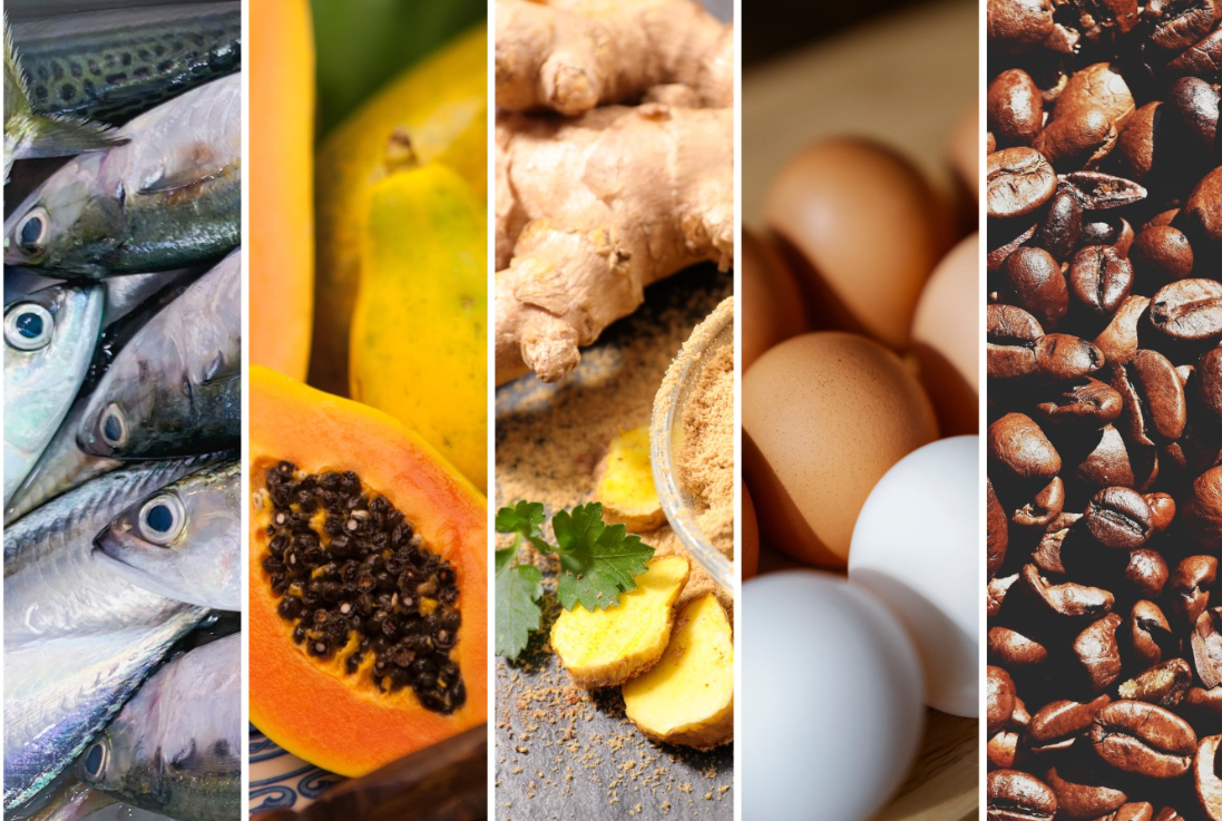 principais produtos exportados do Espírito Santo para os Estados Unidos