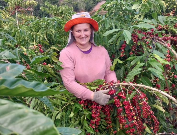 Agricultura familiar