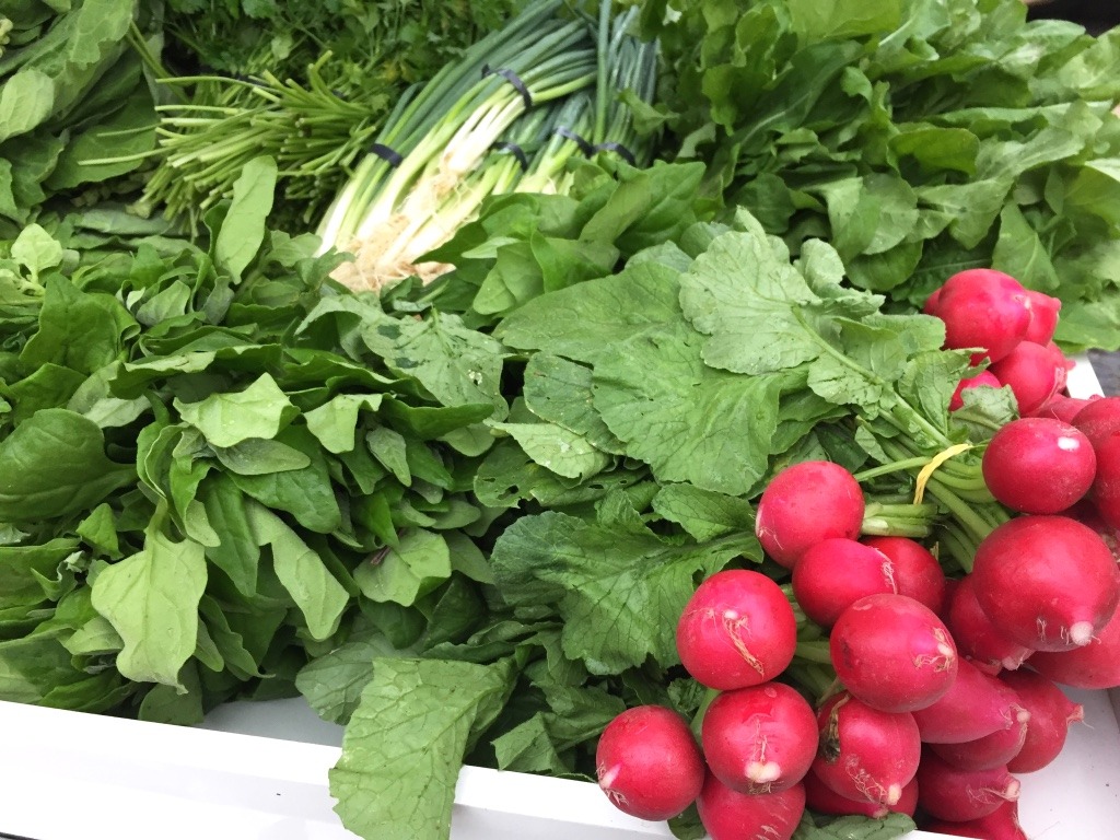 Feira Agroecológica - Sto Antônio