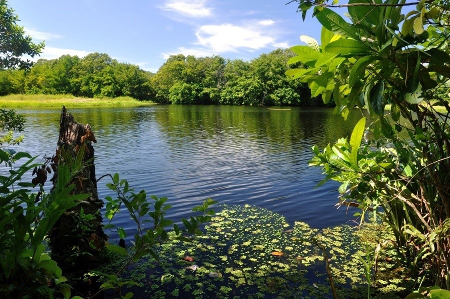 MEIO AMBIENTE CRédito lauro_narciso (55)|||Fotógrafo:Lauro Narciso
