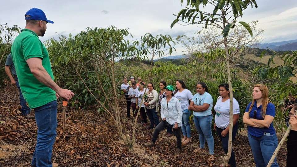 Mulheres do Cafe agricultoras de Alegre participam de curso de poda do conilon