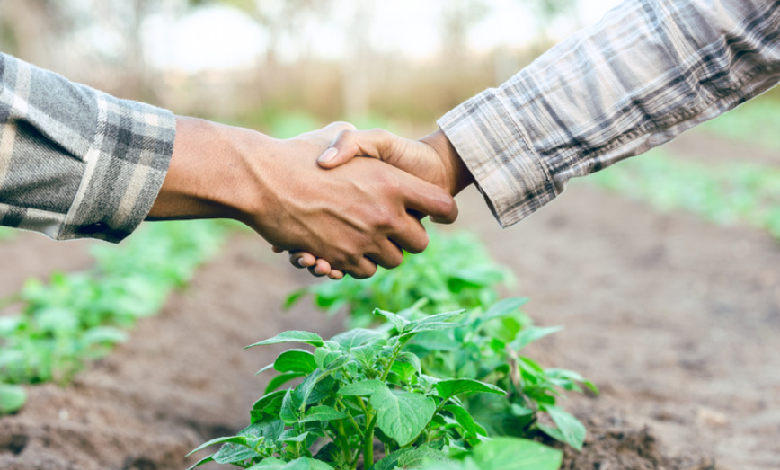 Plano de Crédito Rural. Foto Divulgação