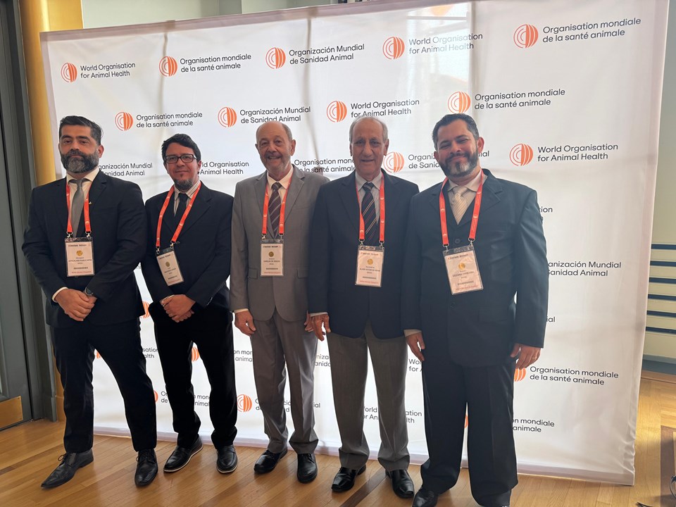 Reoconhecimento internacional aftosa (3)