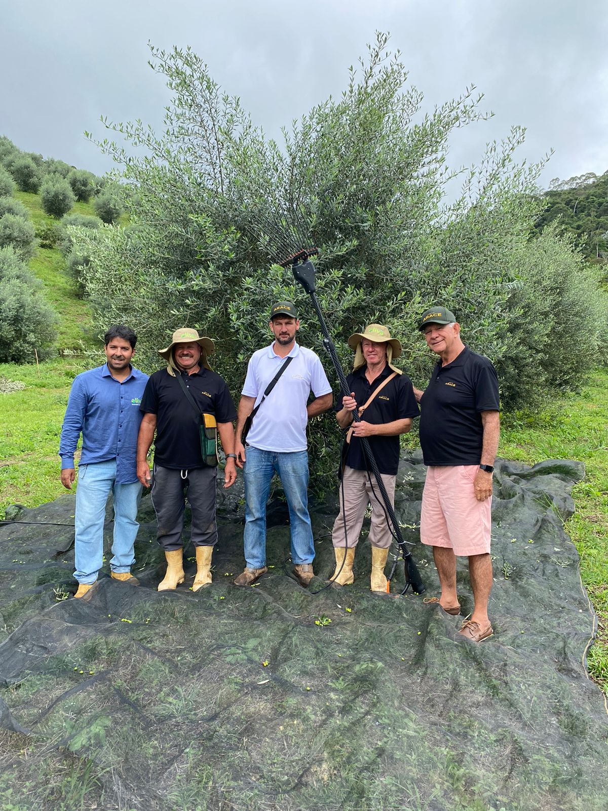 WhatsApp Image 2023-10-09 at 12.46.47