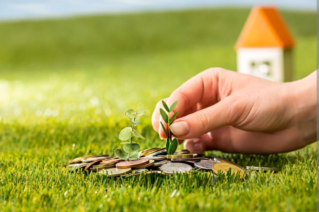 WhatsApp Image 2023-11-14 at 11.37.45