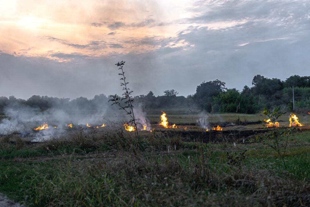 WhatsApp Image 2023-11-28 at 12.01.49