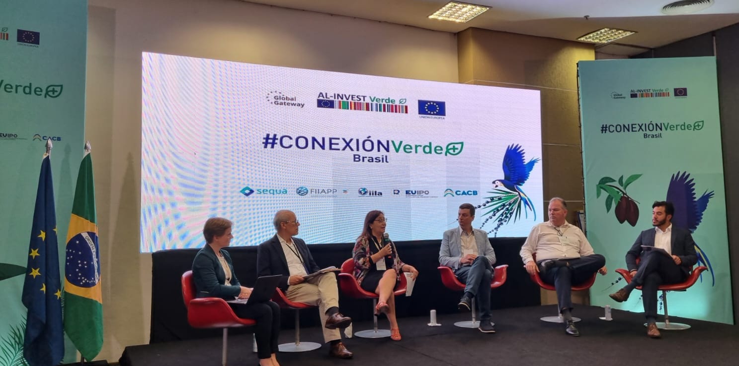 WhatsApp Image 2024-12-04 at 16.28.45 (1)