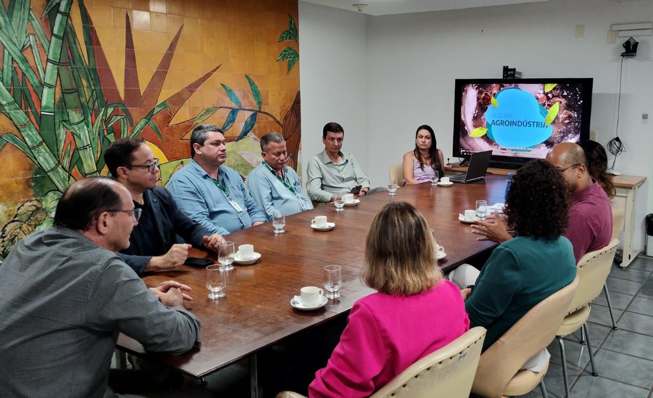 WhatsApp Image 2024-12-17 at 14.51.06