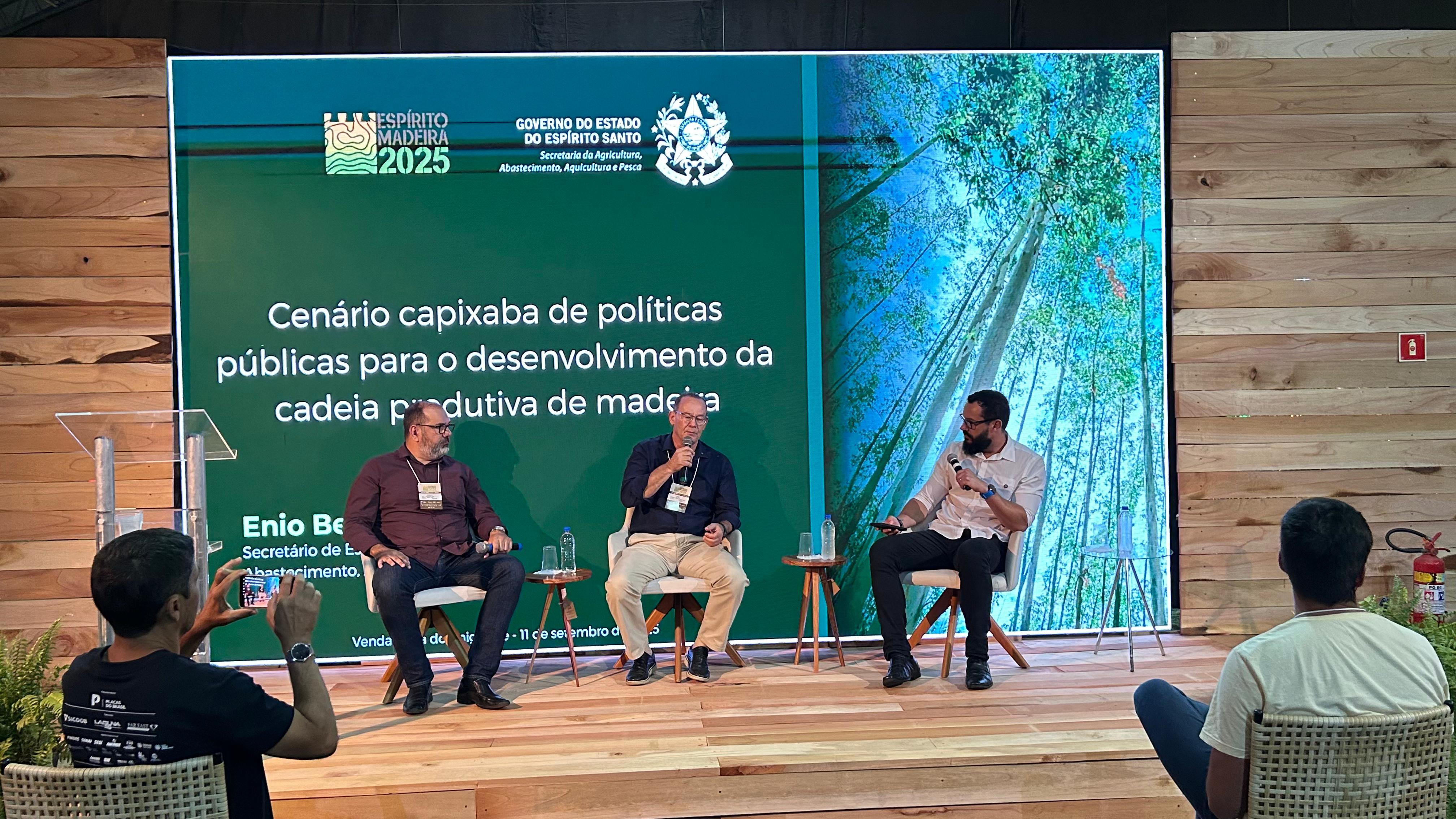 Espírito Madeira 2025 em Venda Nova do Imigrante|||Fotógrafo:Henrique Fajoli/Seag