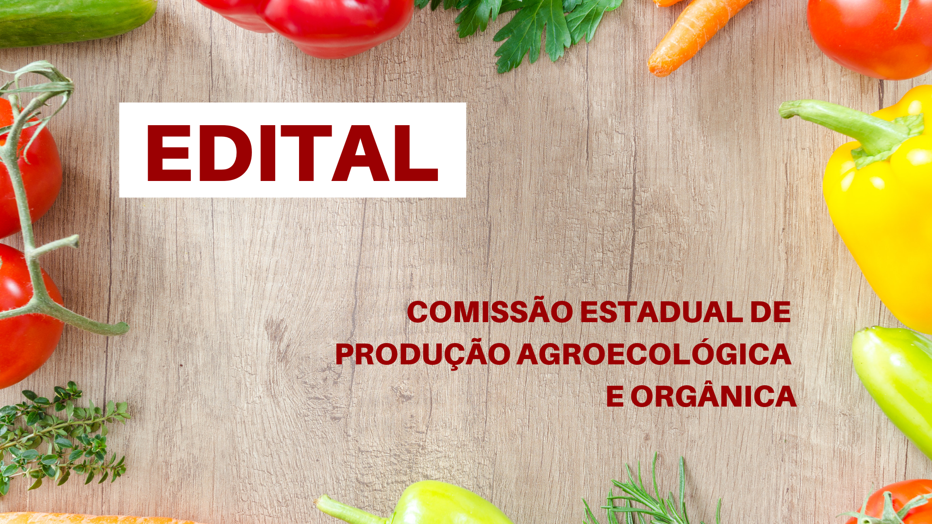 edital_ceapo_seag_organicos_agroecologia_governo_do_estado