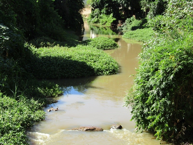 guandu-2|||Fotógrafo:Divulgação/Agerh