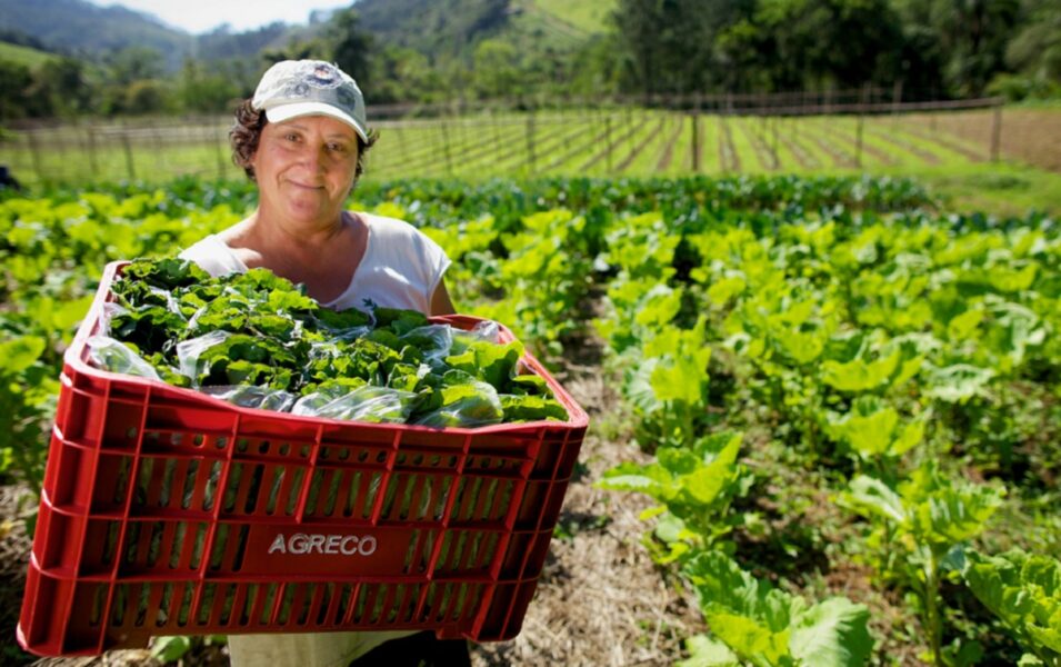 mulher-agricultora-955x600|||Fotógrafo:Arquivo/MDA