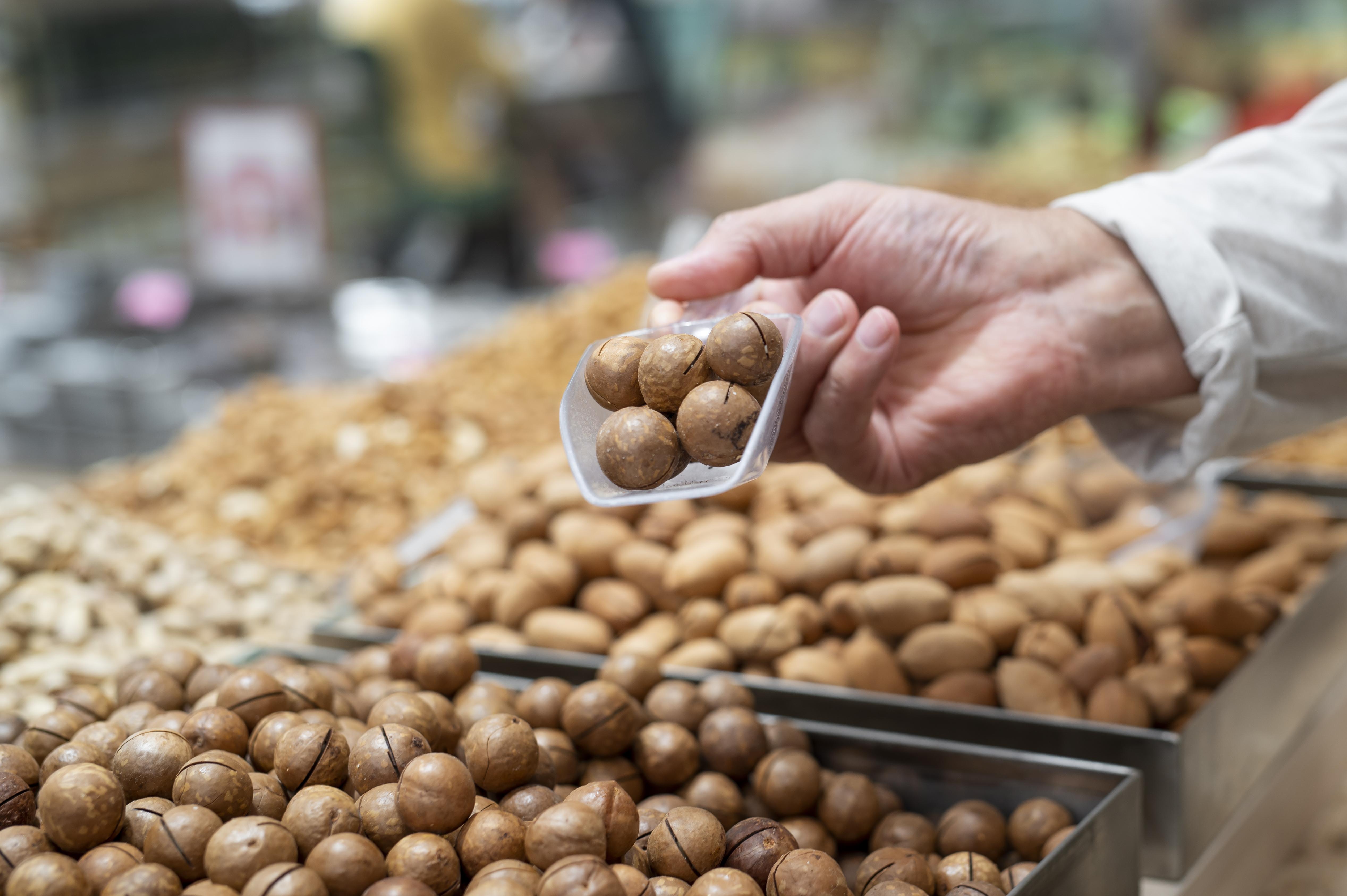 Macadâmia capixaba: a produção da noz cresce e conquista o mercado internacional