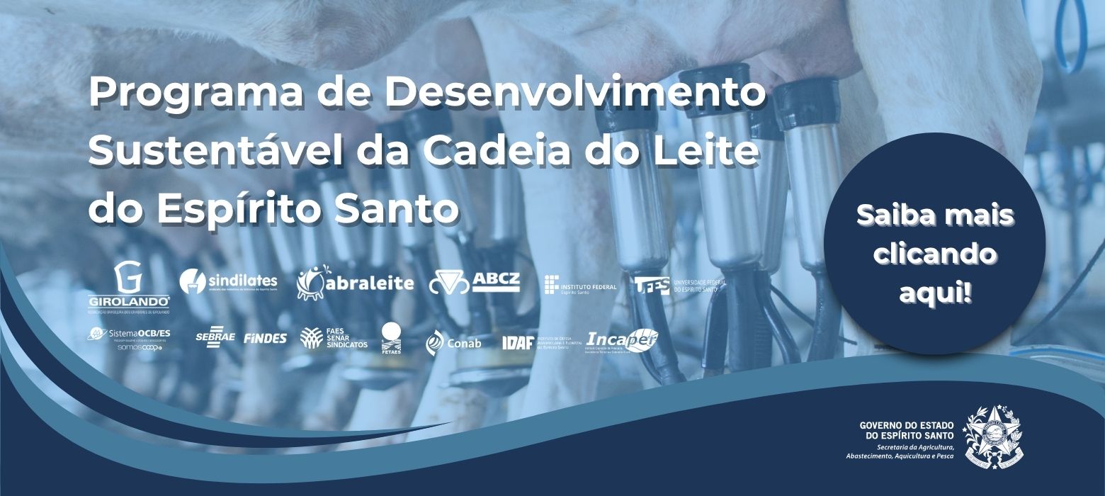 WhatsApp Image 2025-07-01 at 09.42.31 (1)