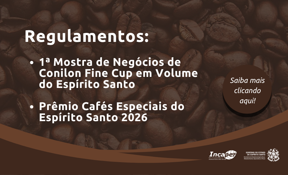 banner-quadrado-site-3.png