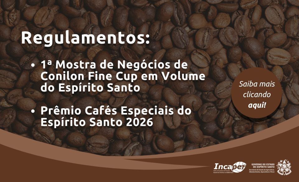 banner-site-cafe-1.png