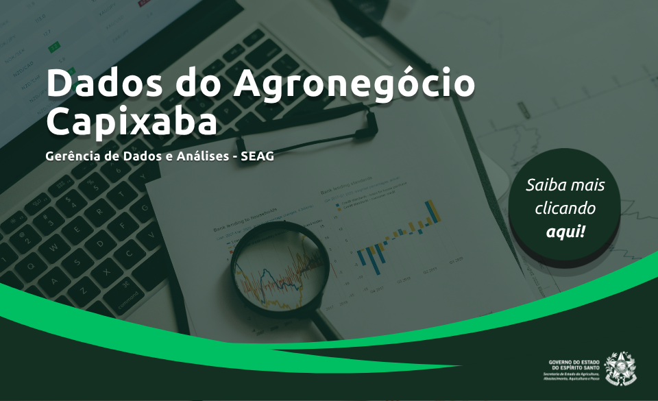 banner-site-dados.png